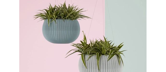 Morbi condimentum molestie Nam enim odio sodales